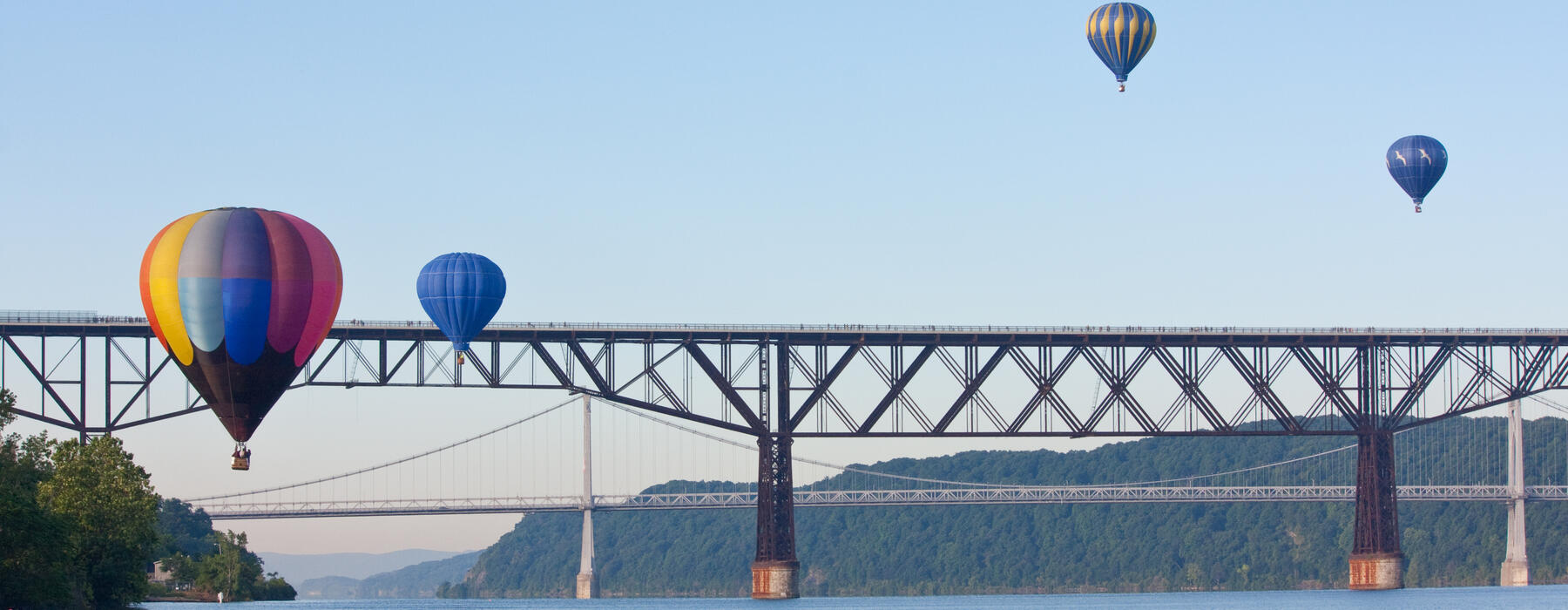 Contact  The Realty Solutions Team